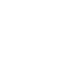 Expert Pension Claims